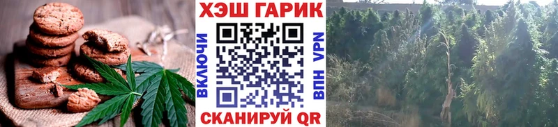 Еда ТГК конопля Краснослободск