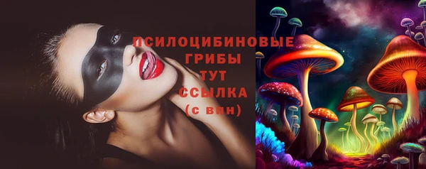 молекула духа Михайловск