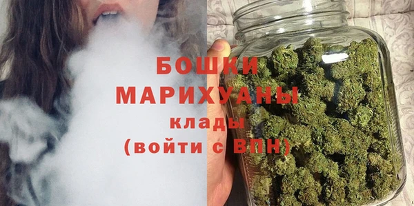 молекула духа Михайловск