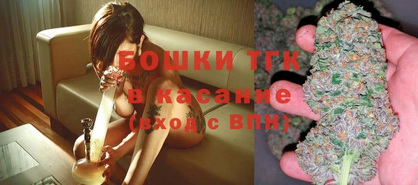 шишки Медвежьегорск