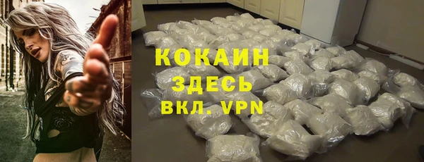 молекула духа Михайловск