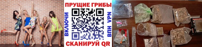наркошоп Краснослободск Псилоцибиновые грибы ЛСД